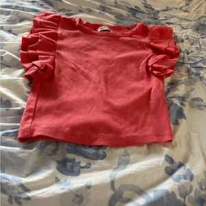 Pink Ruffle Sleeve Cropped Zara Top